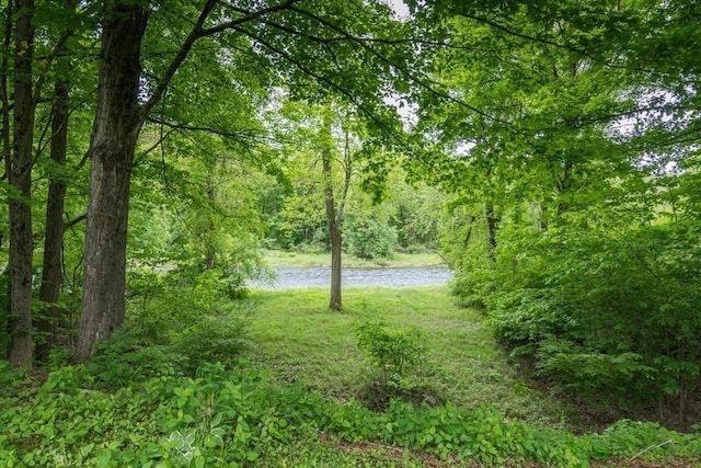 28 River St, Erving, MA 01344 - view of woods with a water view