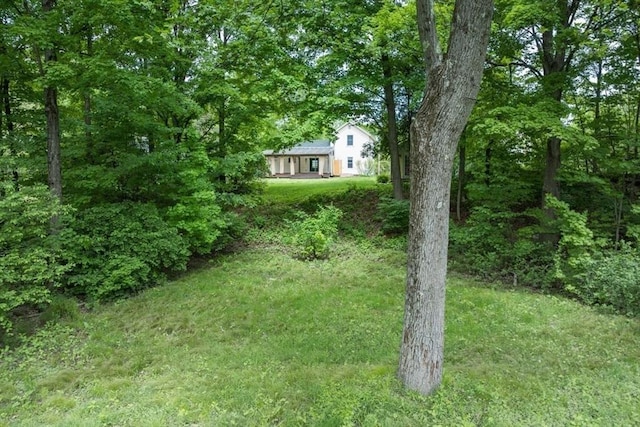 28 River St, Erving, MA 01344 - view of green lawn