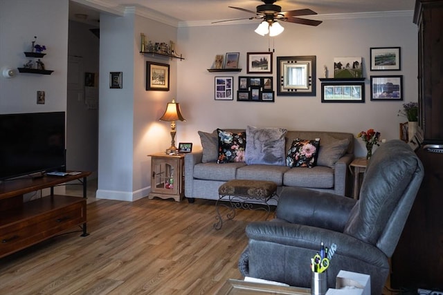 61 Outer Dr Unit 61, Chicopee, MA 01022 - living room with a ceiling fan, wood finished floors, ornamental molding, and baseboards