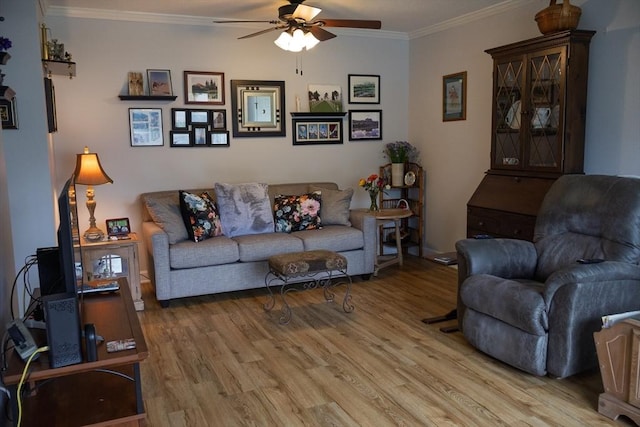 61 Outer Dr Unit 61, Chicopee, MA 01022 - living area featuring a ceiling fan, light wood finished floors, and crown molding