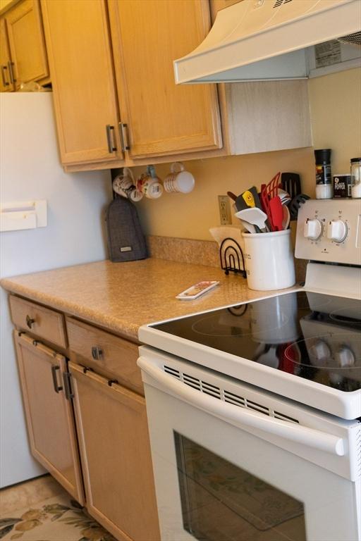 61 Outer Dr Unit 61, Chicopee, MA 01022 - kitchen with electric range, range hood, and light countertops