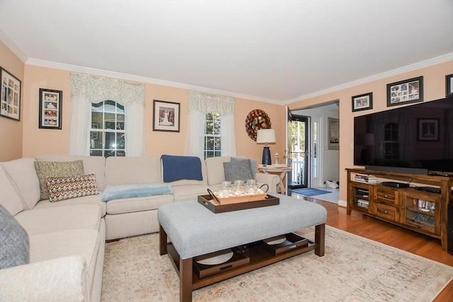 living room featuring hardwood / wood-style floors and ornamental molding