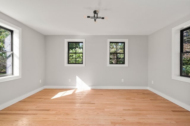 empty room with plenty of natural light and light hardwood / wood-style floors