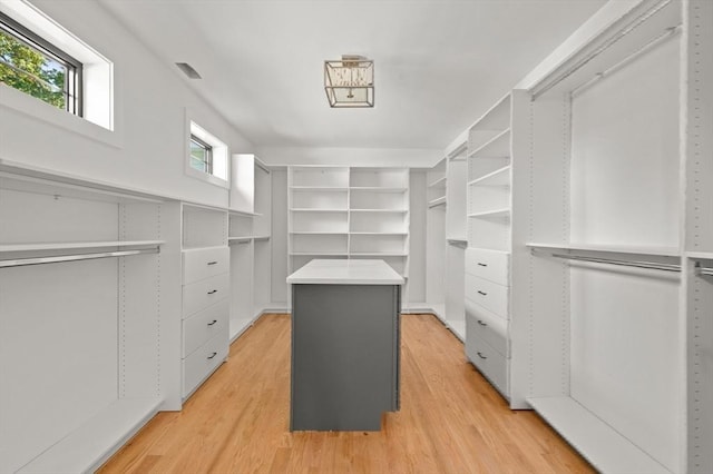13 Alden Rd, Andover, MA 01810 - walk in closet with light wood-type flooring