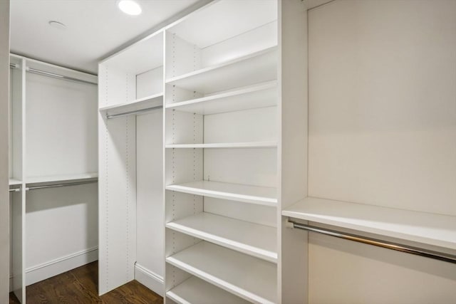 spacious closet featuring dark hardwood / wood-style flooring