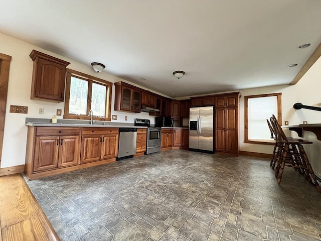 kitchen featuring baseboards, appliances with stainless steel finishes, and a healthy amount of sunlight