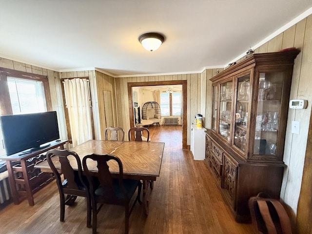 129 Eastern Ave, Springfield, MA 01109 - dining area featuring wood finished floors, radiator heating unit, and plenty of natural light