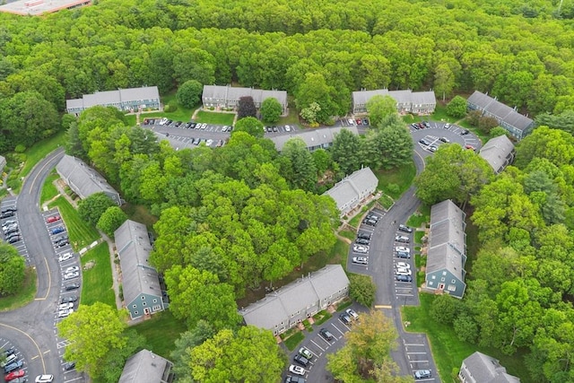 16 Deer Path Unit 1, Maynard, MA 01754 - bird's eye view of a forest