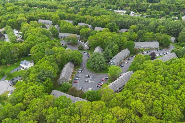 16 Deer Path Unit 1, Maynard, MA 01754 - drone / aerial view of a forest