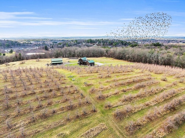 bird's eye view with a rural view