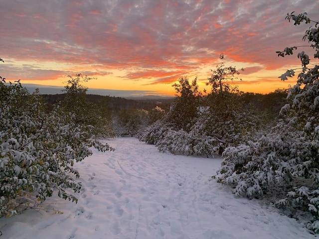 view of snow covered land