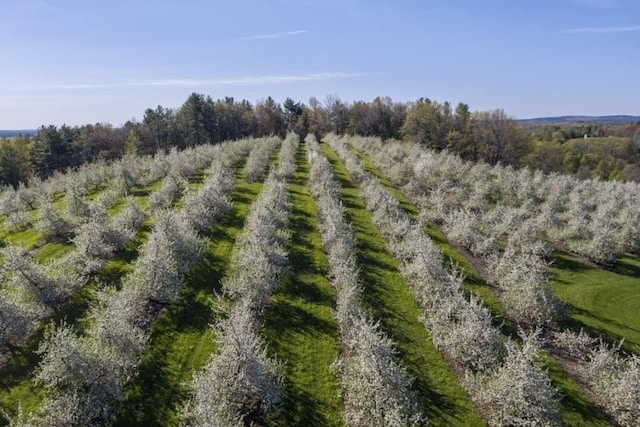 drone / aerial view with a rural view