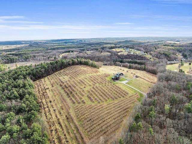 drone / aerial view with a rural view