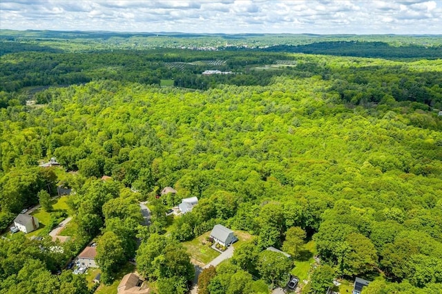 148 Prince Rd, Southbridge, MA 01550 - drone / aerial view of a forest
