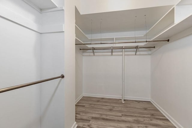 spacious closet featuring wood finished floors