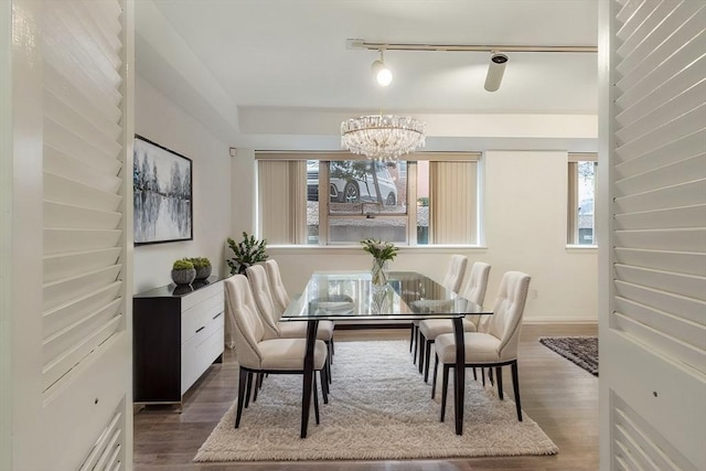 dining space featuring rail lighting, a chandelier, and wood finished floors