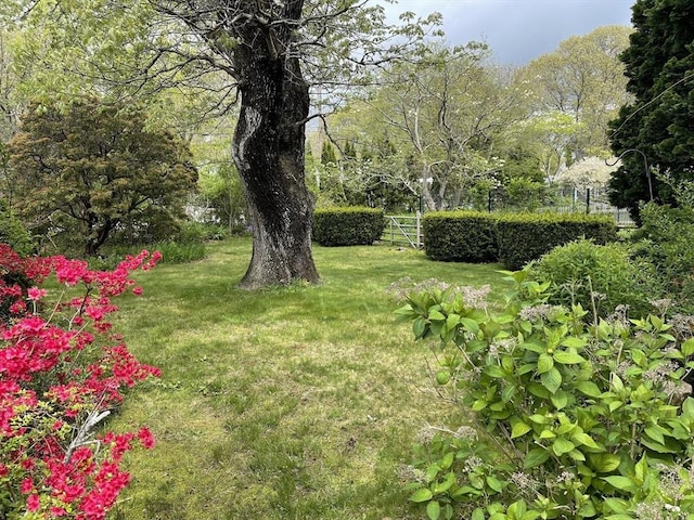 57 Harrington St, Falmouth, MA 02536 - view of yard