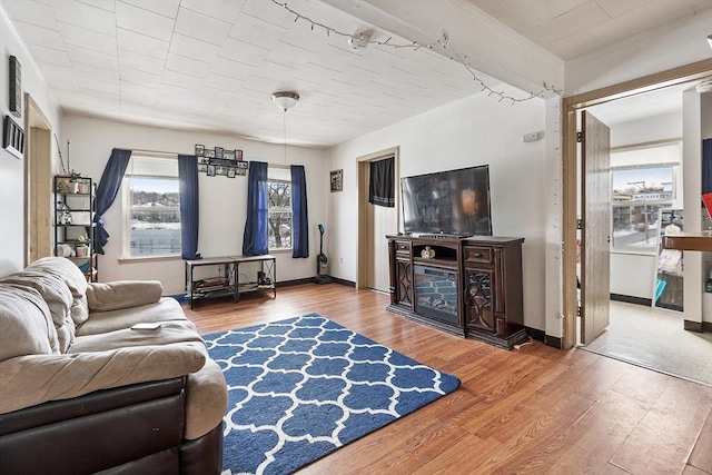 living room with hardwood / wood-style flooring