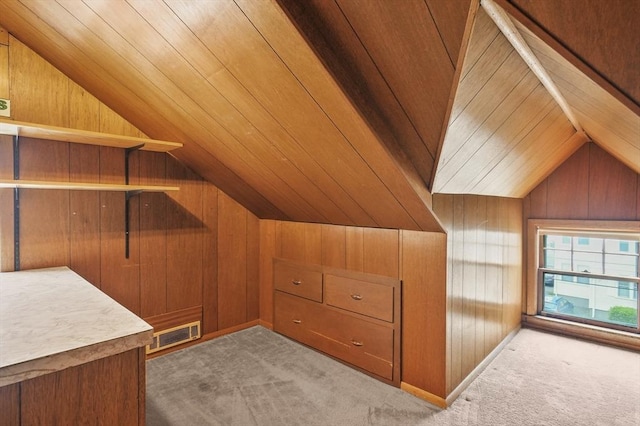 14 Lyman Ter, Waltham, MA 02452 - bonus room with lofted ceiling, wooden walls, and carpet floors