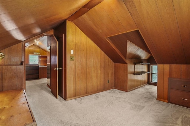 14 Lyman Ter, Waltham, MA 02452 - bonus room with wooden walls, lofted ceiling, wood ceiling, and carpet floors