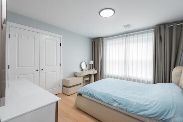 6 Fallon Cir, Braintree, MA 02184 - bedroom featuring light wood finished floors and a closet