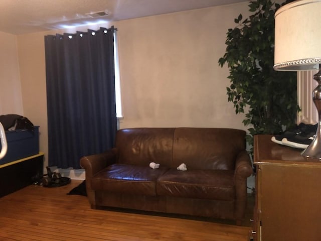 living room featuring wood-type flooring