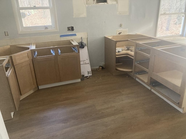 clothes washing area with dark wood-style floors and plenty of natural light