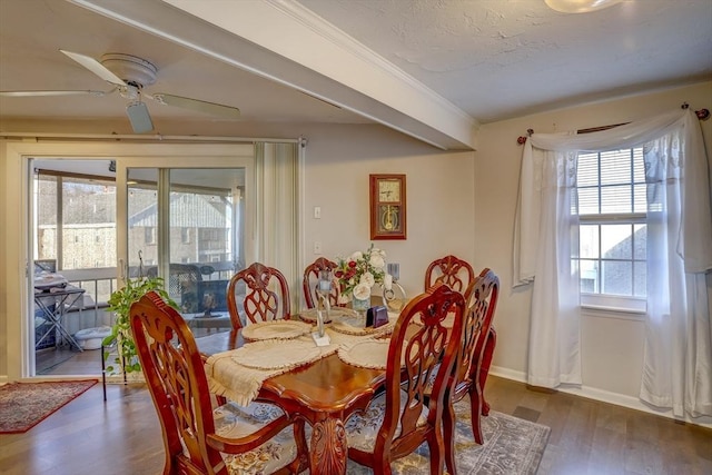 dining space with ceiling fan and dark wood-type flooring