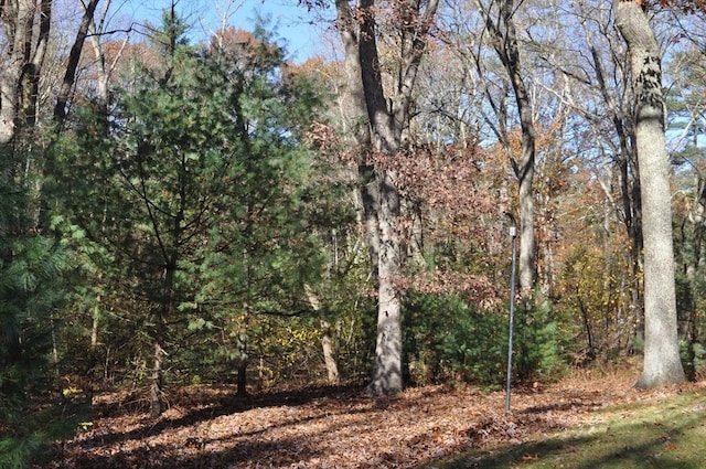 view of nature with a forest view