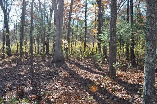 view of landscape with a wooded view