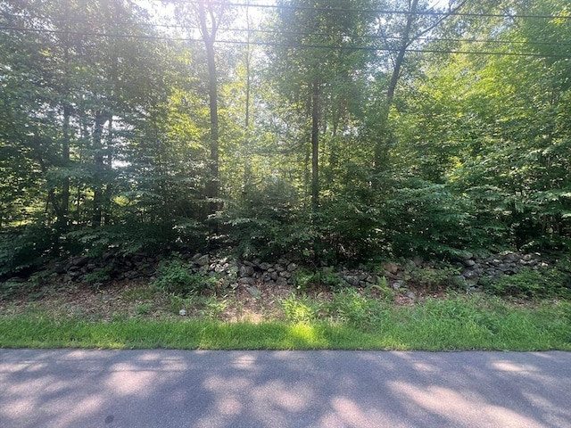 0 Maple Swamp Rd, Dighton MA, 02764 land for sale