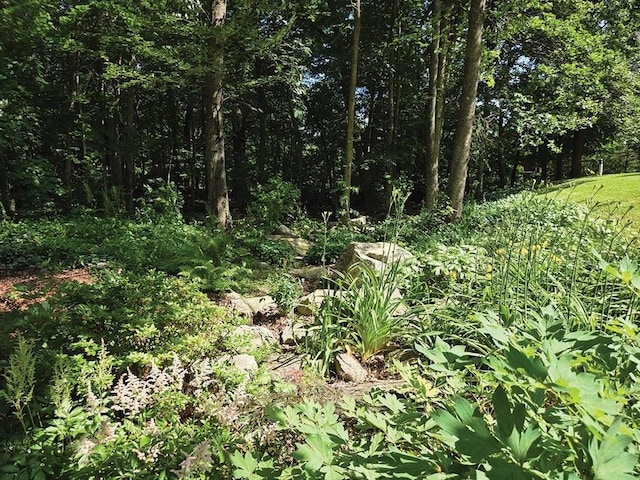 15 Sudbury Rd, Stow, MA 01775 - view of nature