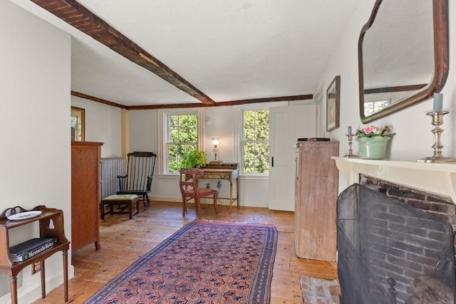 1395 Canton Ave, Milton, MA 02186 - living area featuring light wood finished floors and beamed ceiling