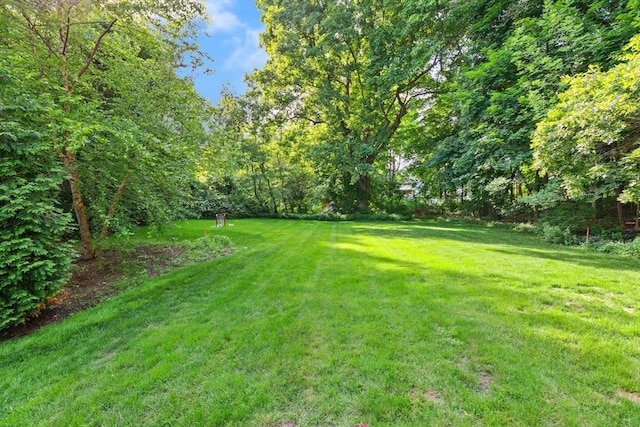 1395 Canton Ave, Milton, MA 02186 - view of grassy yard
