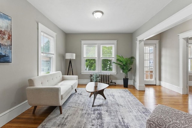 31-33 Beauchamp St, Springfield, MA 01107 - sitting room with healthy amount of natural light, wood finished floors, radiator heating unit, and baseboards