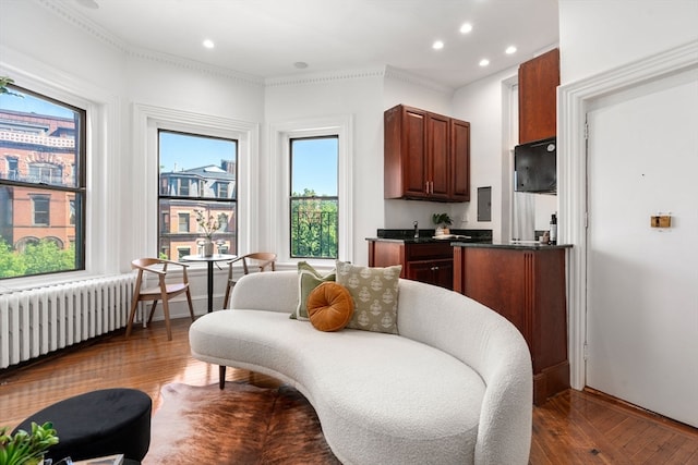 kitchen with radiator heating unit and dark hardwood / wood-style flooring