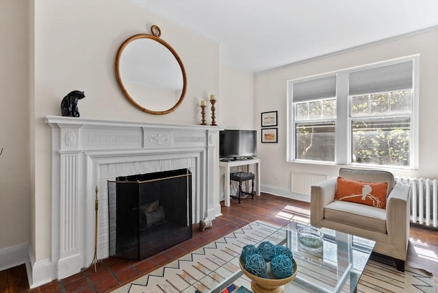 living room with a fireplace and baseboards
