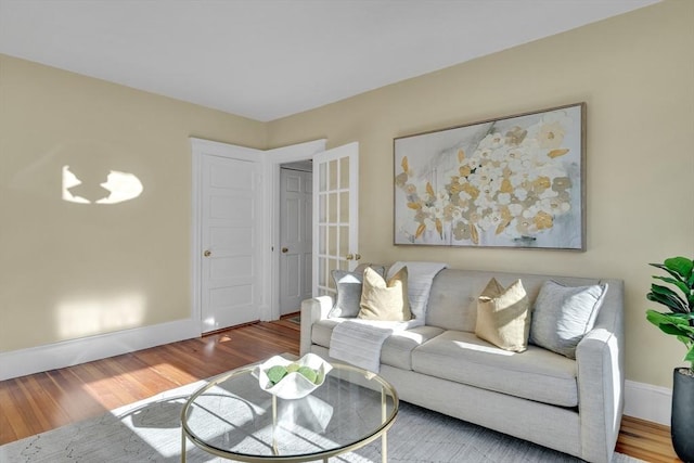 living room with wood-type flooring