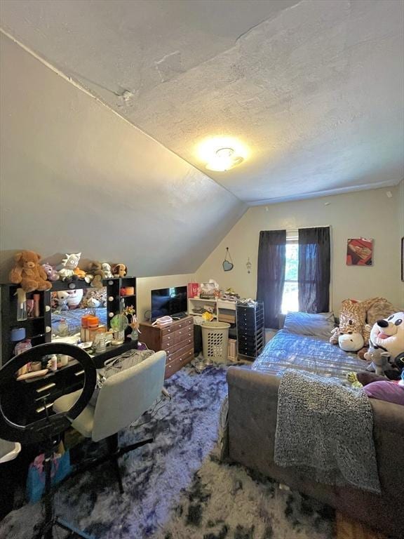 27 Springvale Ave, Lynn, MA 01904 - bedroom featuring vaulted ceiling and a textured ceiling