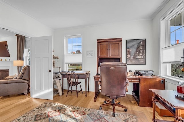 home office featuring ornamental molding and light wood-type flooring