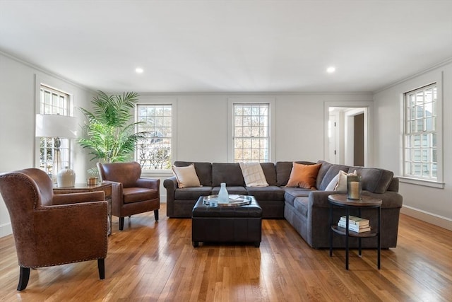 living room featuring wood-type flooring and crown molding