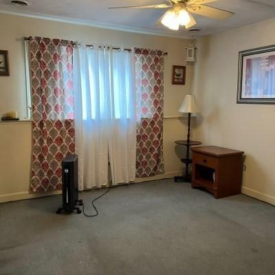 interior space featuring crown molding and ceiling fan