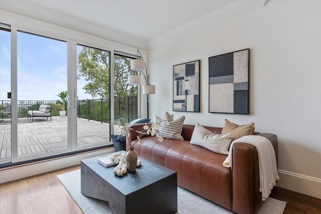 197 Winchester St Unit 197, Brookline, MA 02446 - living area with wood finished floors and baseboards