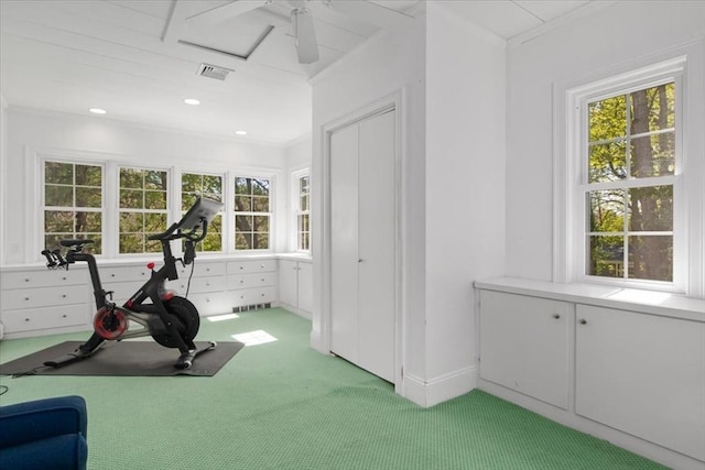 exercise area with visible vents, ornamental molding, and light carpet