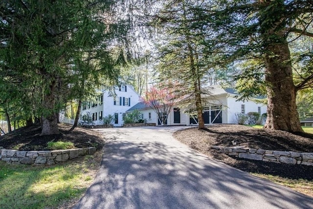 view of property hidden behind natural elements with curved driveway