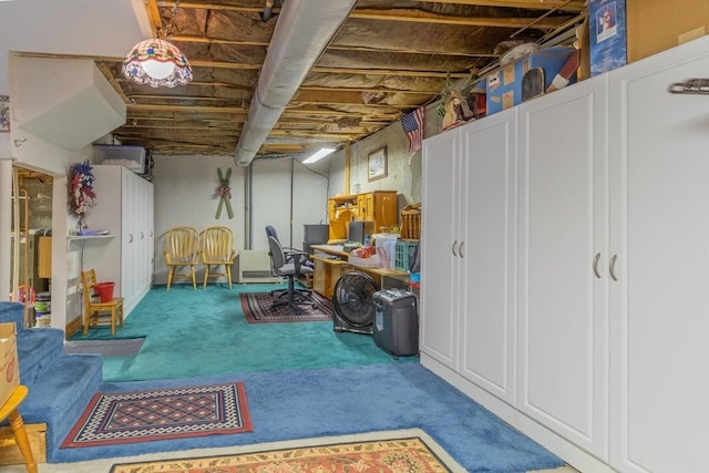unfinished below grade area with carpet floors