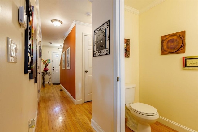 41 Whispering Pine Cir Unit 41, Worcester, MA 01606 - hall featuring ornamental molding, light wood-style flooring, and baseboards