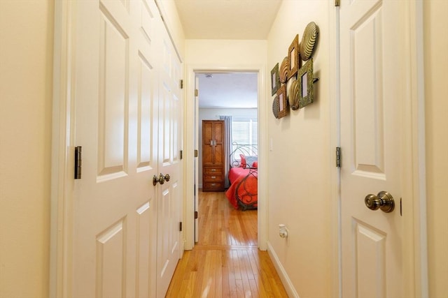 41 Whispering Pine Cir Unit 41, Worcester, MA 01606 - hall with light wood-style floors and baseboards
