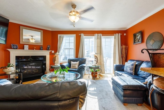 41 Whispering Pine Cir Unit 41, Worcester, MA 01606 - living room with a ceiling fan, crown molding, and a glass covered fireplace