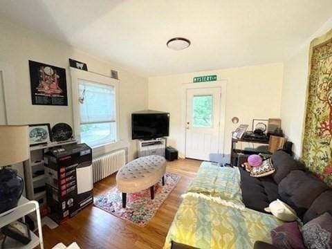 192 Salem St, Wakefield, MA 01880 - living room featuring radiator, plenty of natural light, and wood finished floors